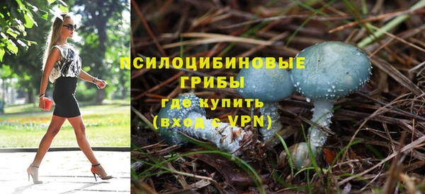 трава Абаза