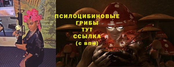 трава Абаза