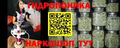 прущие крисы Краснодар
