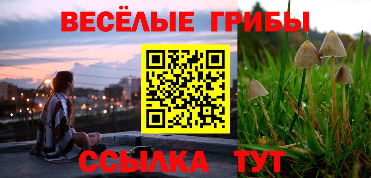 Псилоцибиновые грибы мухоморы  Вход с VPN  Добрянка 